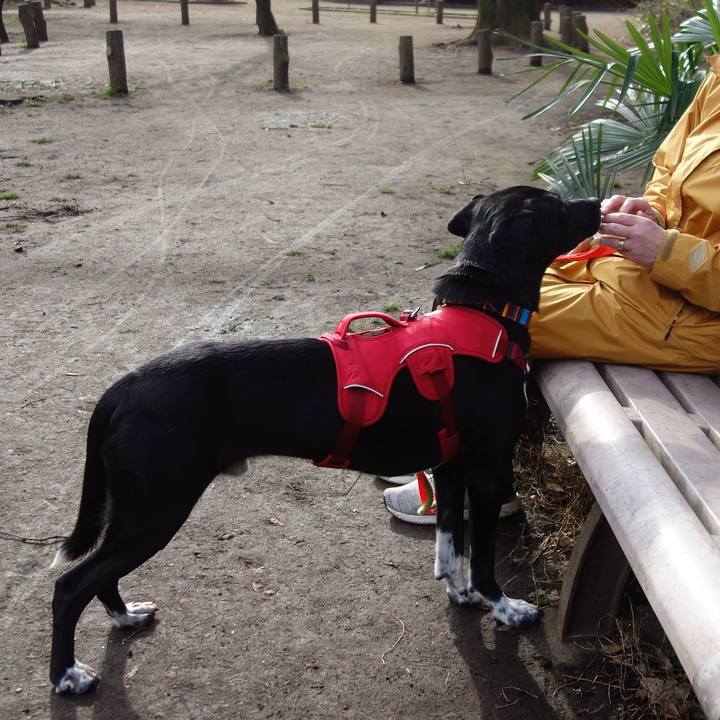 6bf183c3 aa5e 4d1b abb5 b41241893f66 1584060458840