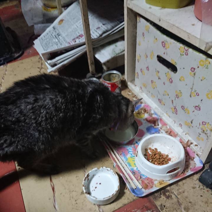 6bf18d9a bbfe 4a4b 8463 4d4a2b95d970 1580846522472