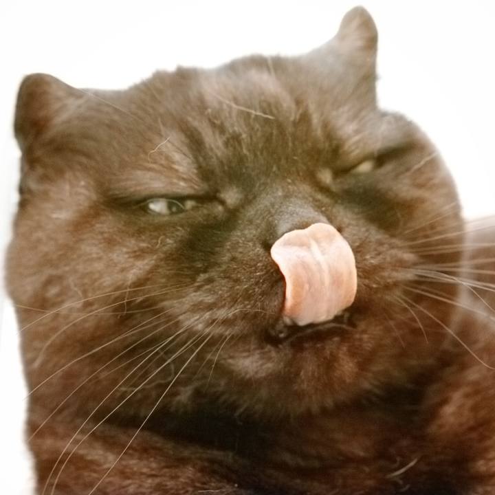 6bf19dc1 10e7 41f4 adde 9f44546ced20 1619775265431