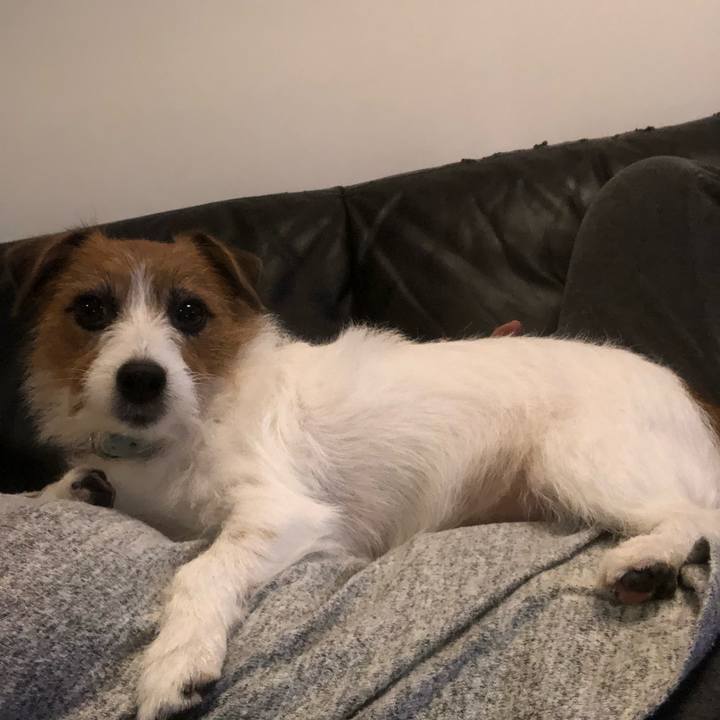 6bf1a929 fbdf 41c4 9897 254421b4a623 1574588841627