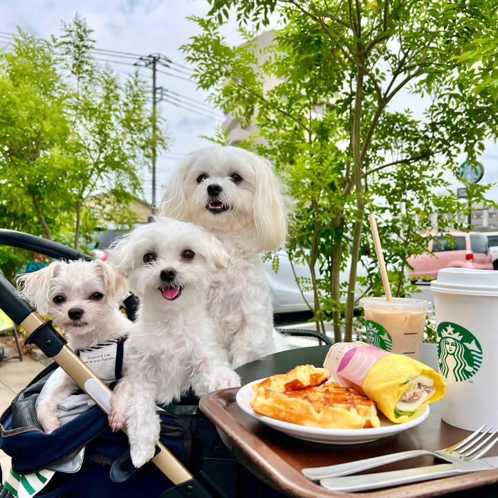 6bf204ae 044b 4905 99b3 d704fe618fc0 1654932304351