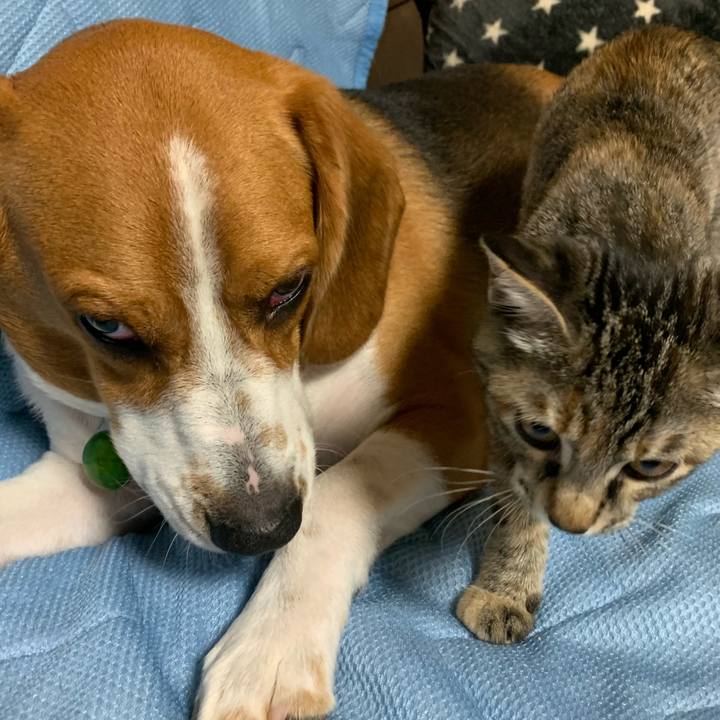 6bf21a23 b836 4eb3 9c2c 2ddc20ad8d75 1595758456975