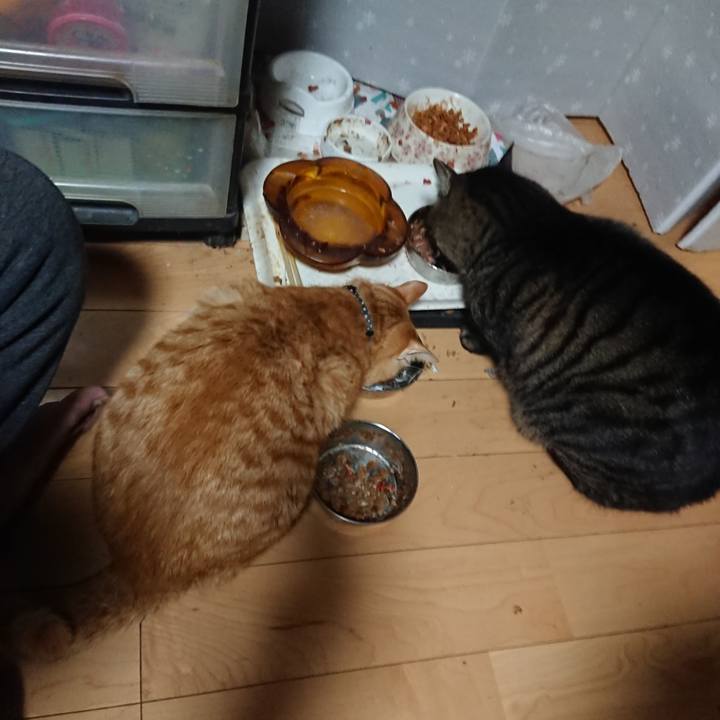 6bf25065 4bb1 44ba 98d1 1feff1b6fd5a 1639826281252