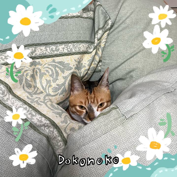 6bf28b4b 8e8e 4b5a ae5e ba4c875b3979 1712367267268