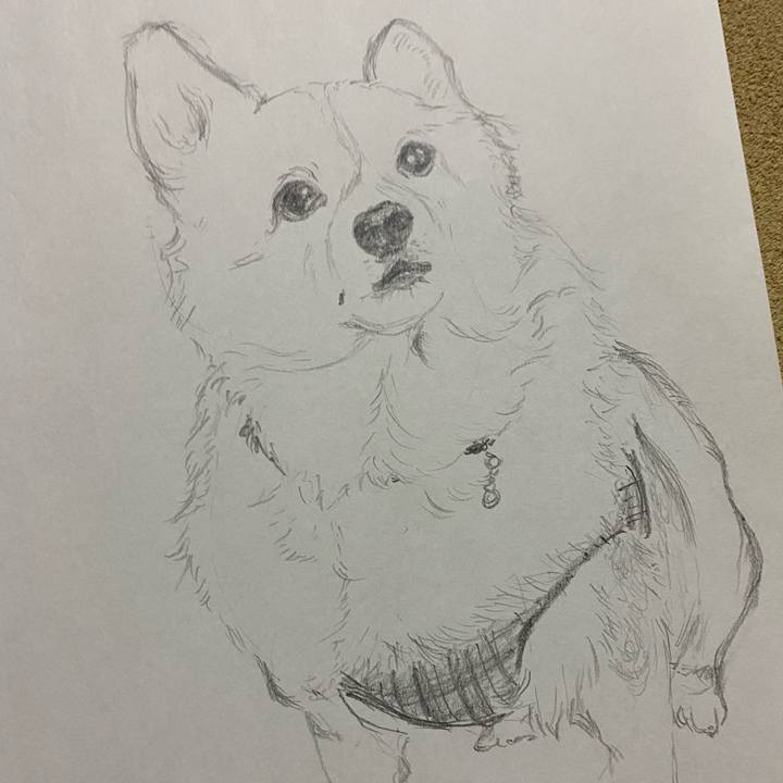 6bf29042 cb68 4c10 a514 e74c22dfd29c 1591366744877