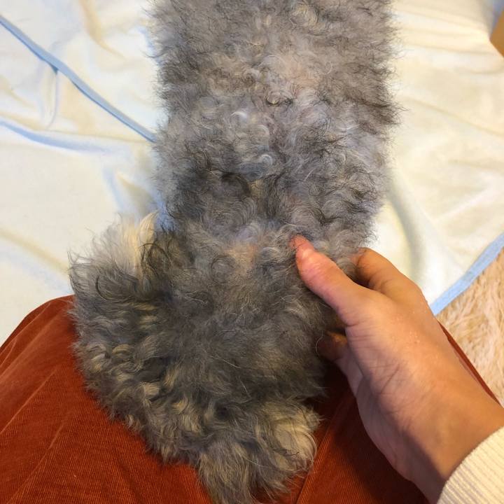 6bf2aac7 daf6 458a b194 0dbf26fcb6fc 1542756767658