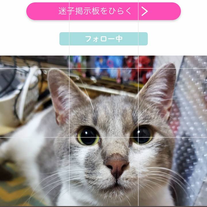 6bf2dd82 b054 4491 bb10 4ba4f8c8c970 1593983667362