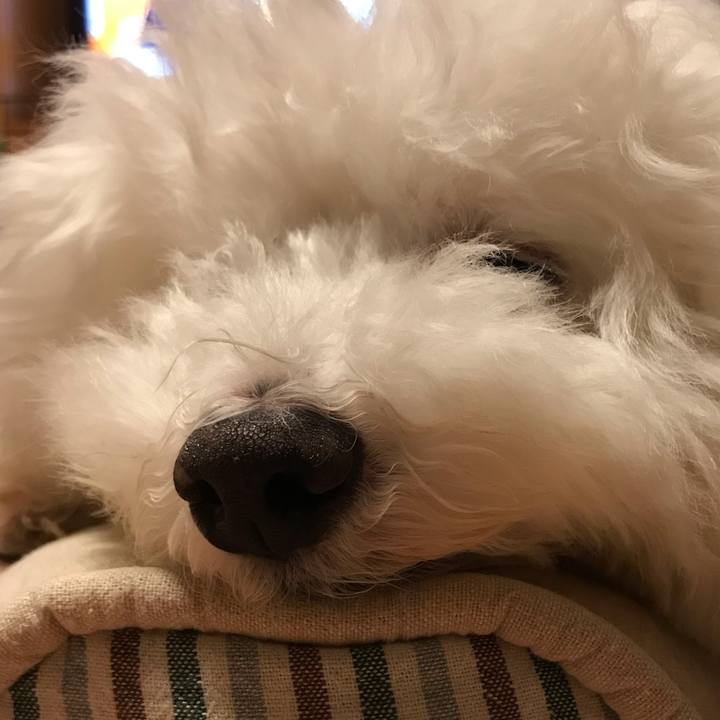 6bf2f09b 4b6c 4dec b0b7 571765ff4478 1565698905817