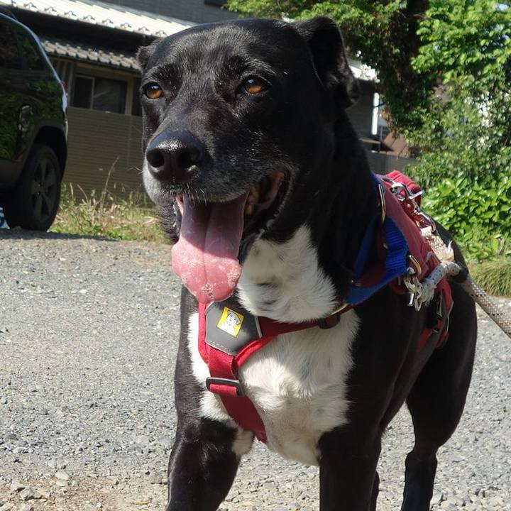 6bf2ff44 141d 4fe8 851a e265efbaa481 1683764617917