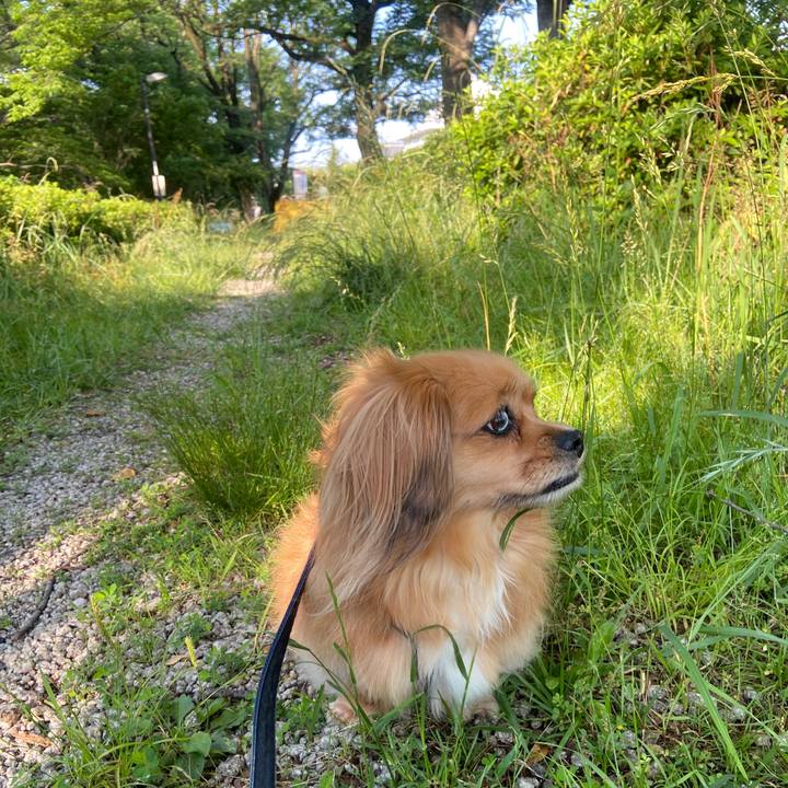 6bf31f92 17a7 427d bd3a 29c9634cf1f2 1622324595178