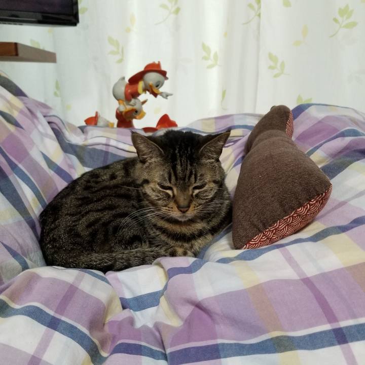 6bf3233b 5435 41be a317 473ab7ca0512 1609021439922