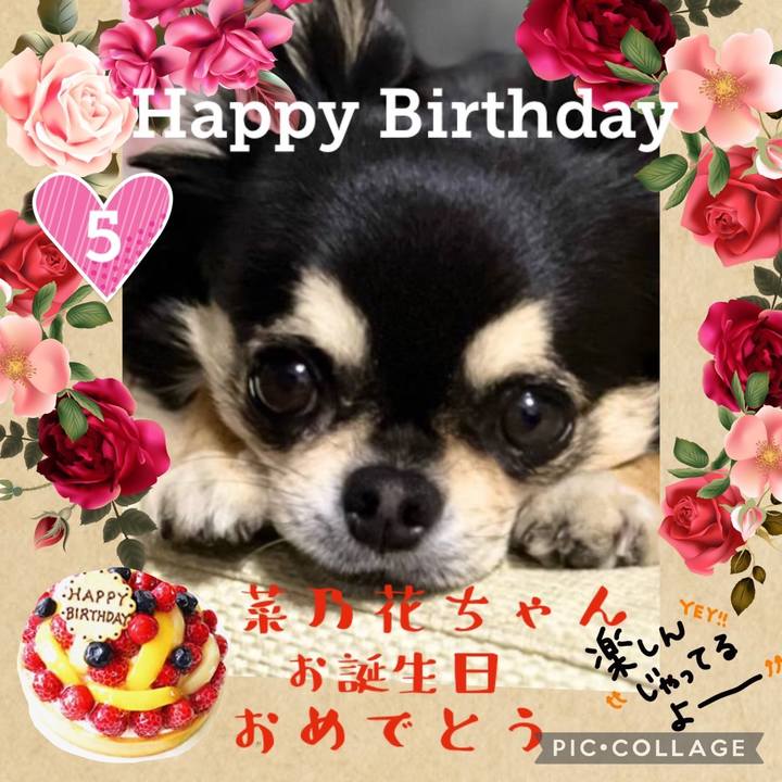 6bf33b42 a575 4581 8543 1336ed0819b9 1686181299441