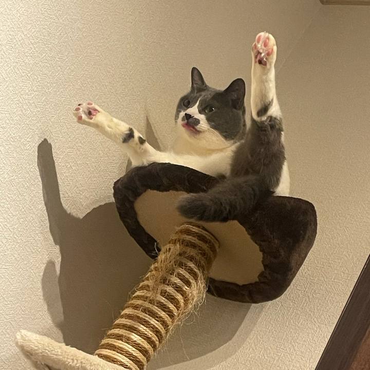 6bf3512d 82ea 428d ac9d f4a21b018d75 1739639556565