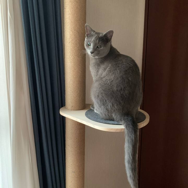 6bf37c9a 30ea 4a9b 9642 895bd1126384 1591733983659