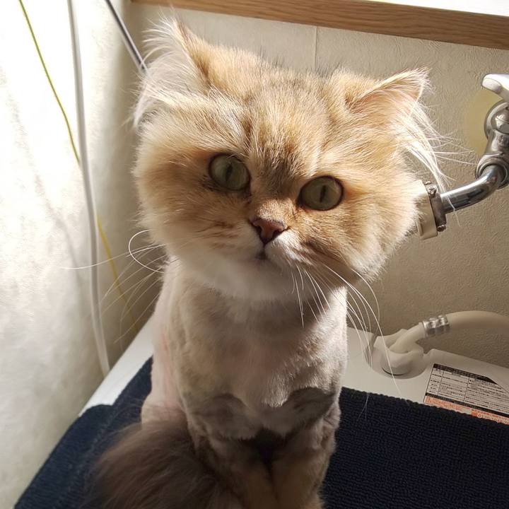 6bf38eec 3d3a 4850 a5c1 5156fbd7efd9 1597022174683