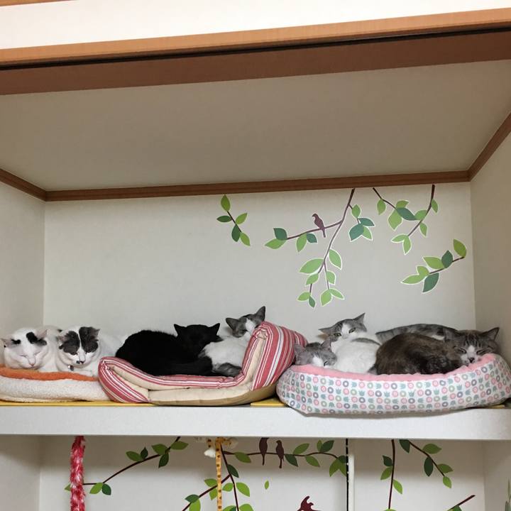 6bf39682 158e 4447 b122 f553aa261c4b 1512893976491