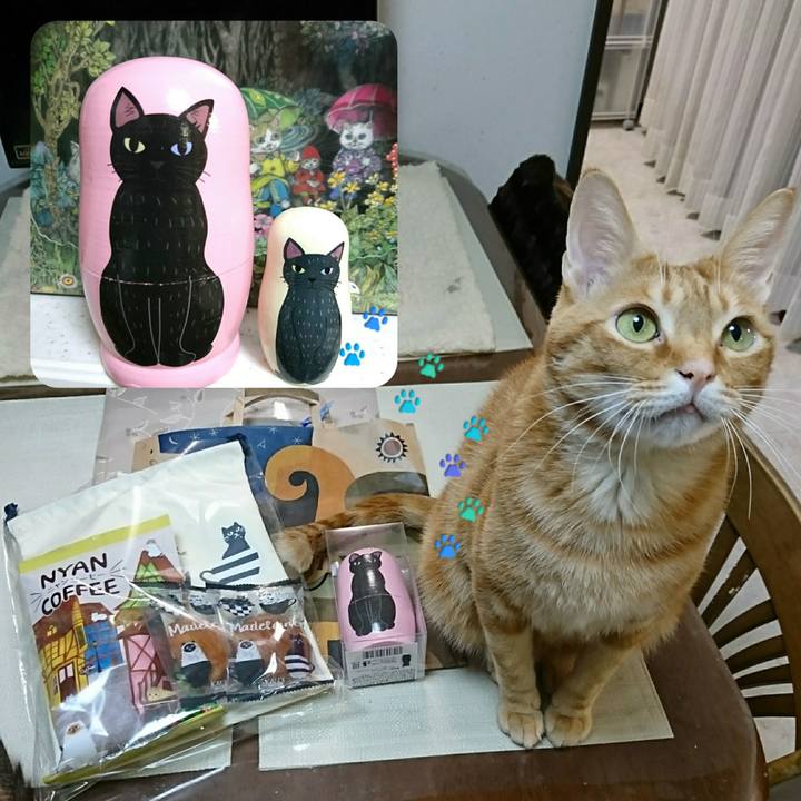 6bf42a27 f2ae 4c2a 9ff7 910a706d5392 1550227571576