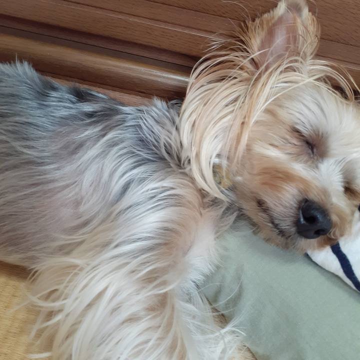 6bf42aec 84ea 433b a091 c56080ad7e1a 1630114953450