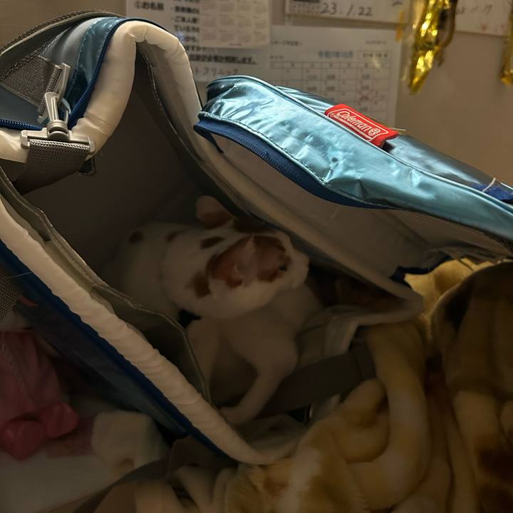 6bf44bf5 2923 4d64 9b39 0a7fed85e42a 1761208003069