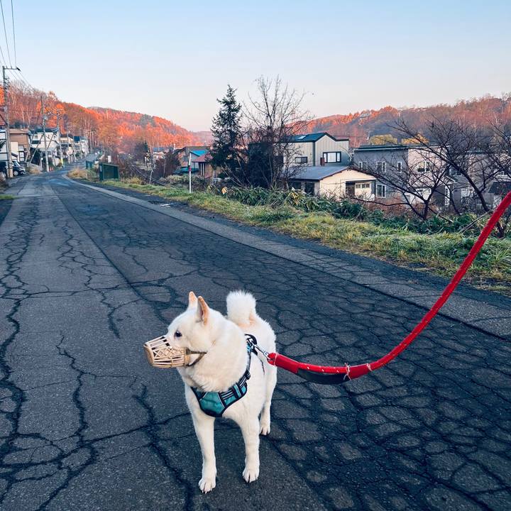 6bf44ebd eef6 40a1 8314 90aa2acfe6d3 1731715401079