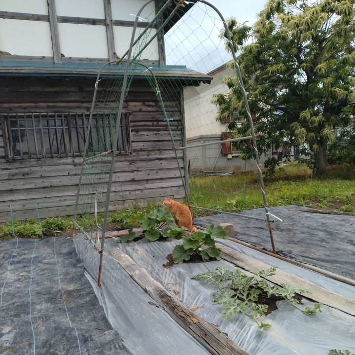 6bf4d5cc 867d 426d 821e a9016848b279 1686723056918