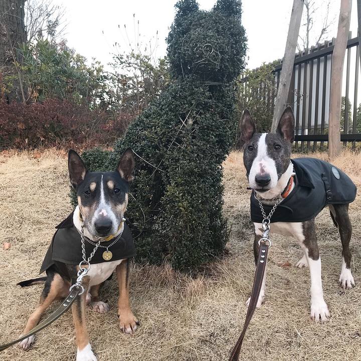 6bf4dc6e 1f8d 4f8b 98db 19f259b251f6 1515242751657