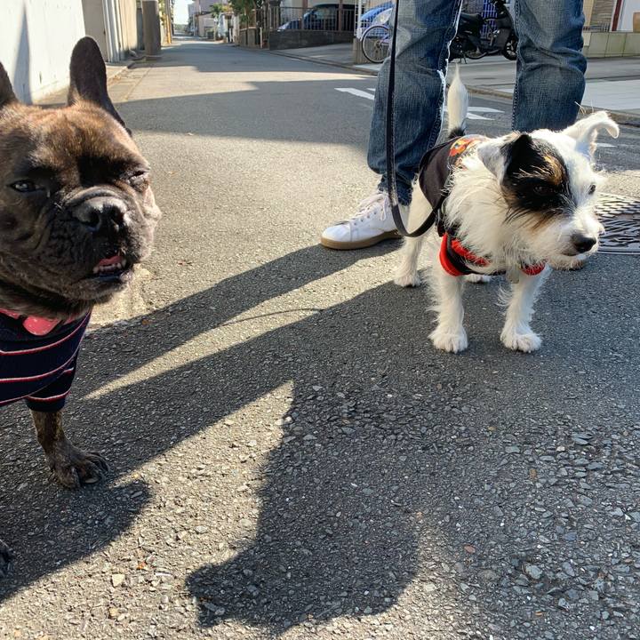 6bf4e730 1c26 4173 b7f7 57d10d4489a4 1572917923146