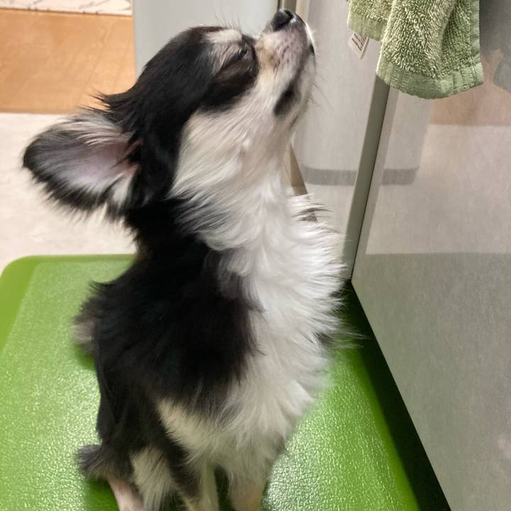 6bf52014 f8f5 4e4f 85c4 6fed0dbc5326 1621086259535