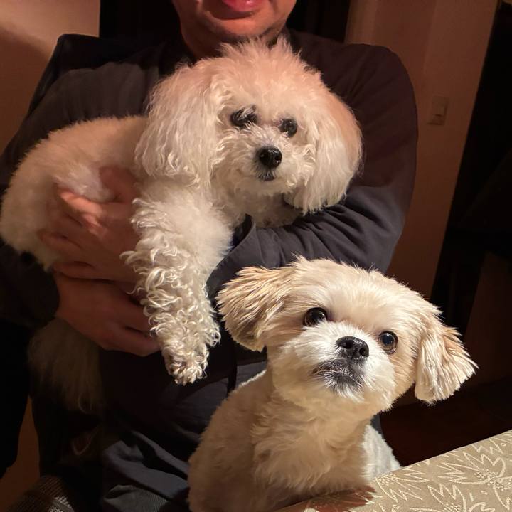 6bf546a2 f182 4521 9846 df5d0d7bcc9f 1764017824168