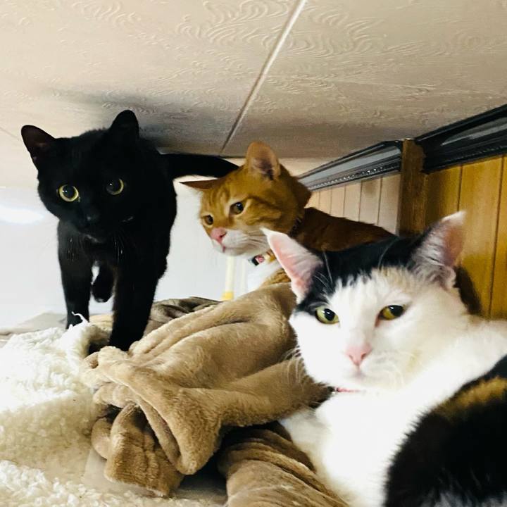 6bf54957 0773 4303 bdf3 1f763626bd49 1676719510812