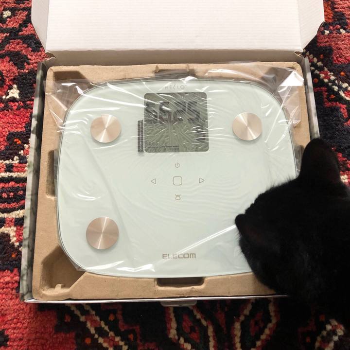 6bf55312 a304 4b83 9dd2 1f5b61ce7b92 1561859900040