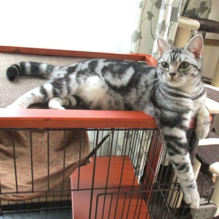 6bf5807f d398 4a2b b47b 15bab3175745 1545740912349