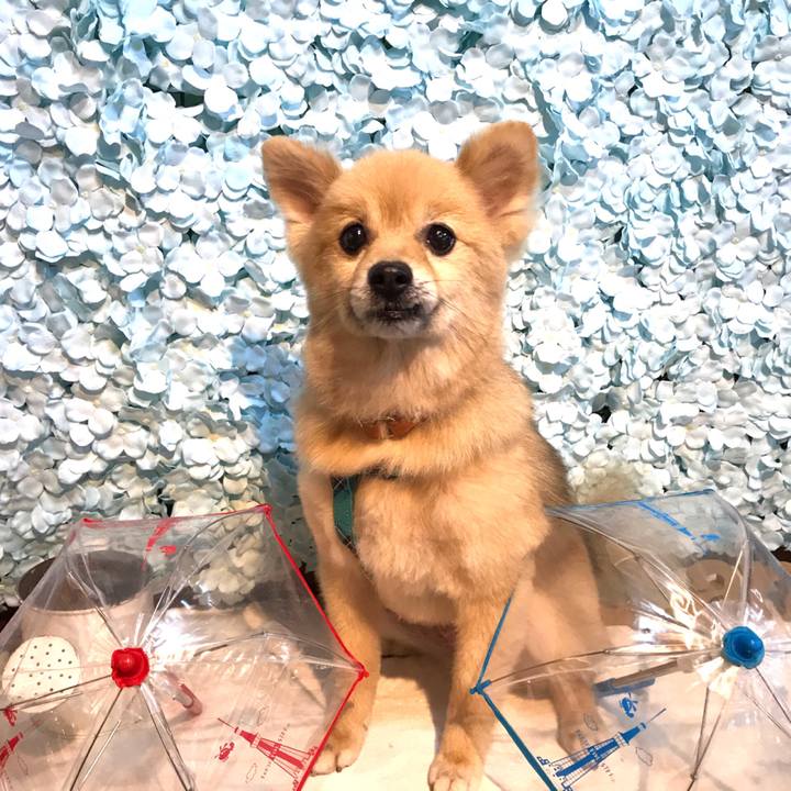 6bf5a981 2a12 455c 8bce b92cb7e10c1b 1573642461594