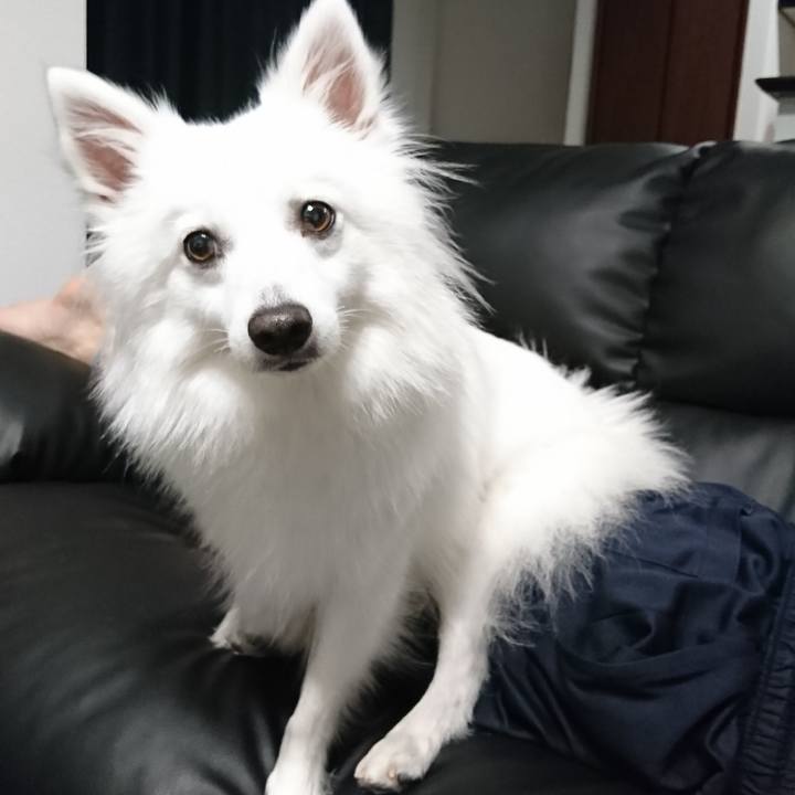 6bf5c408 792e 4511 800d 93254f7d7210 1528381953711