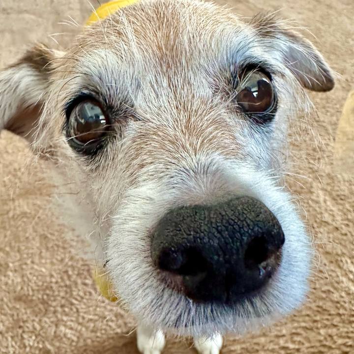 6bf61544 22fa 4f1c bdf6 9729e54f5027 1709165435695