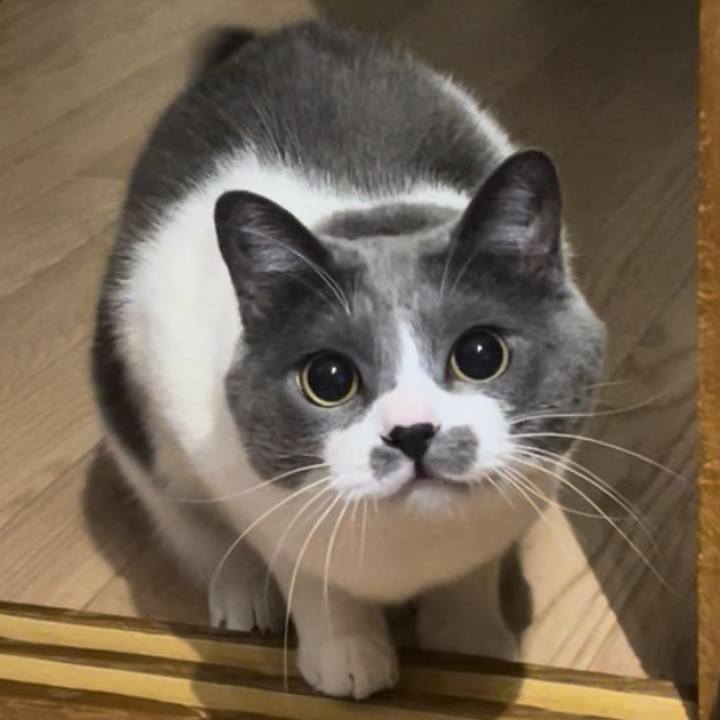 6bf64207 b3e0 44c7 9034 f7c5b9afe347 1703676336999