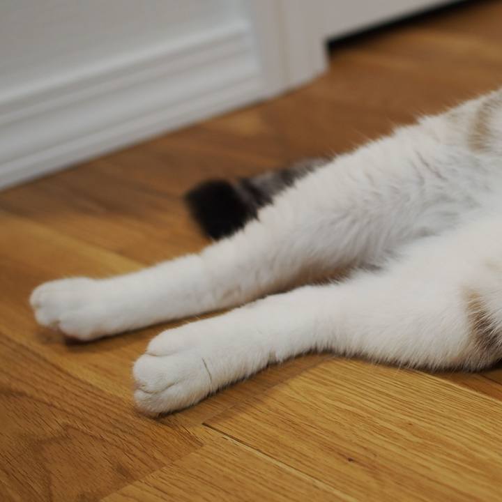 6bf65abb c12f 470d 8fb9 5c70771c6ca3 1567682589786