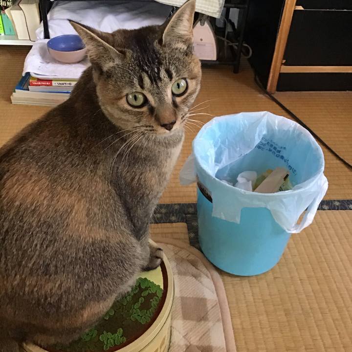 6bf65b93 846d 4b74 9a60 04efdec3e6bf 1579495625773