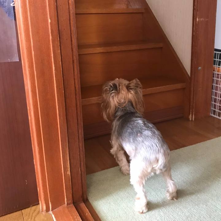 6bf65e64 ef05 49a4 bb0e 4795310d1fa4 1600074957462