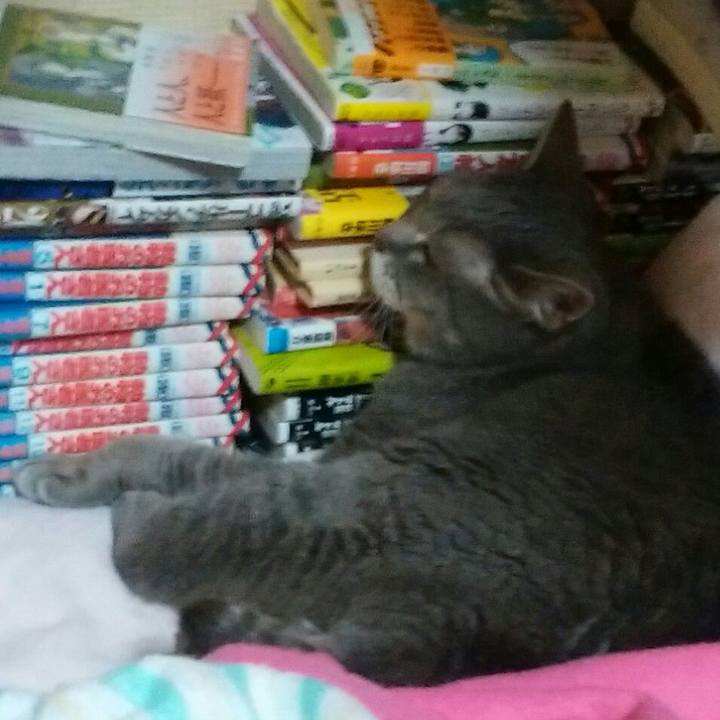 6bf6ec92 fac5 4090 9084 5129216ded2f 1591910350053