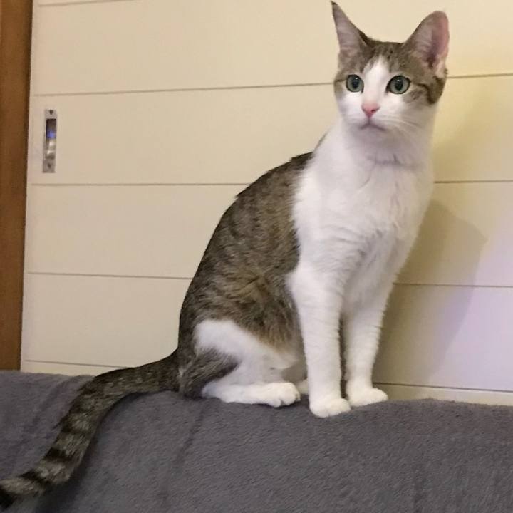 6bf6efb9 80f7 4331 b149 9d70d541c2ac 1649805451018