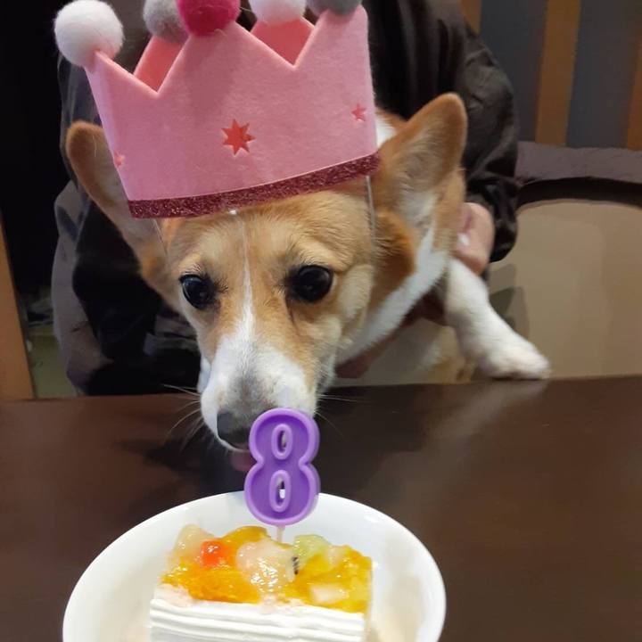 6bf7023d 57db 4ac5 b98b 491690dd5337 1715857276959