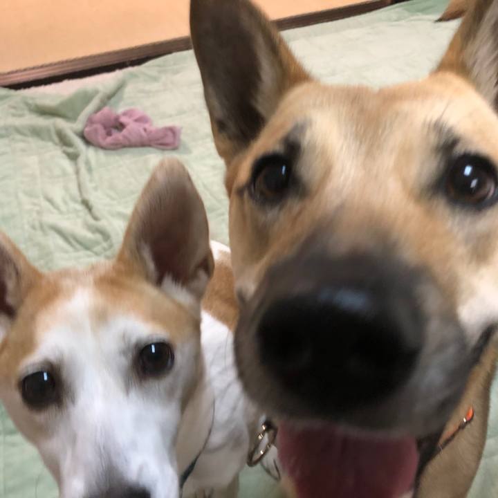 6bf718da 7e21 415f 8169 db55235bb351 1605543465995