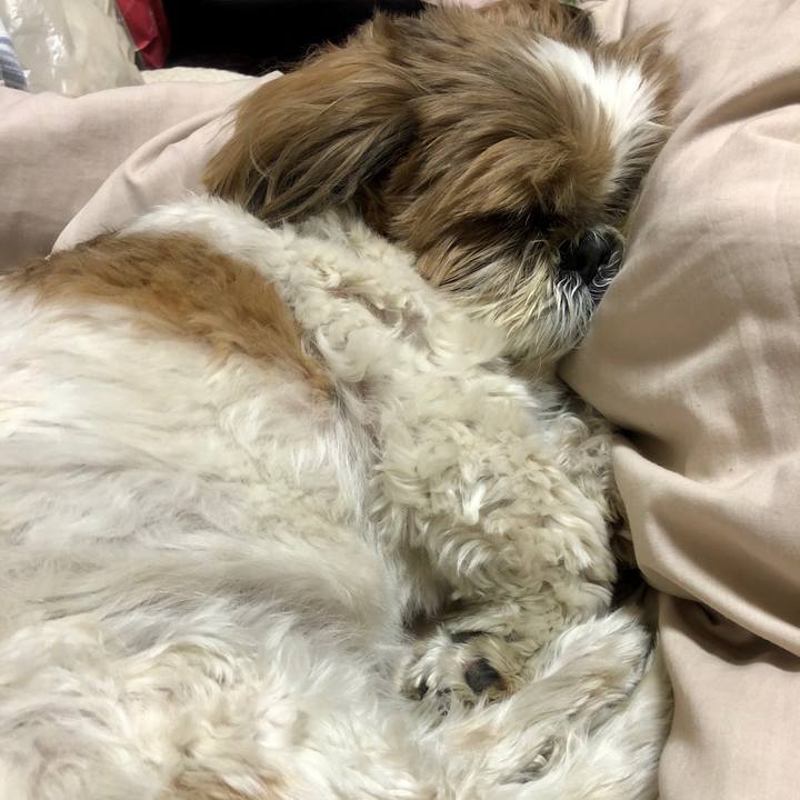 6bf73f06 dca7 4f9b 852e 8ae5b2632df0 1588120433184