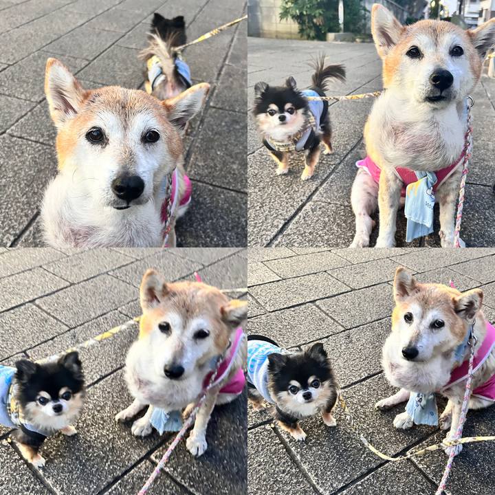 6bf76311 8352 42fe bd3d 0e71fa5a625c 1761815761462