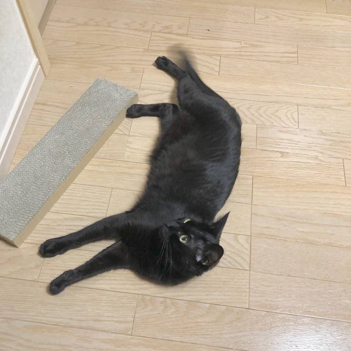 6bf786f2 903f 4d74 b741 780e6f829368 1596629002763