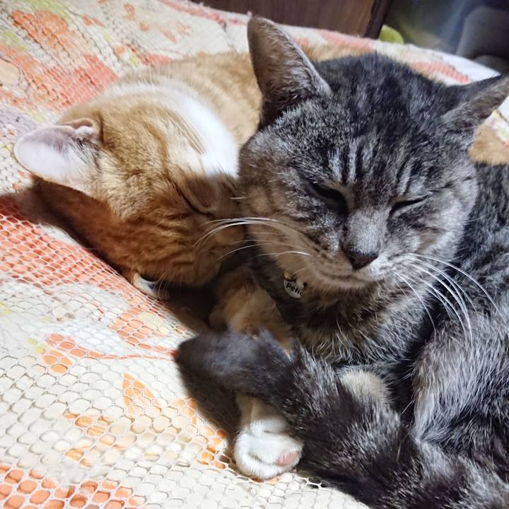 6bf79a0a a003 4c8b 882d f0c66b48913b 1577102946700