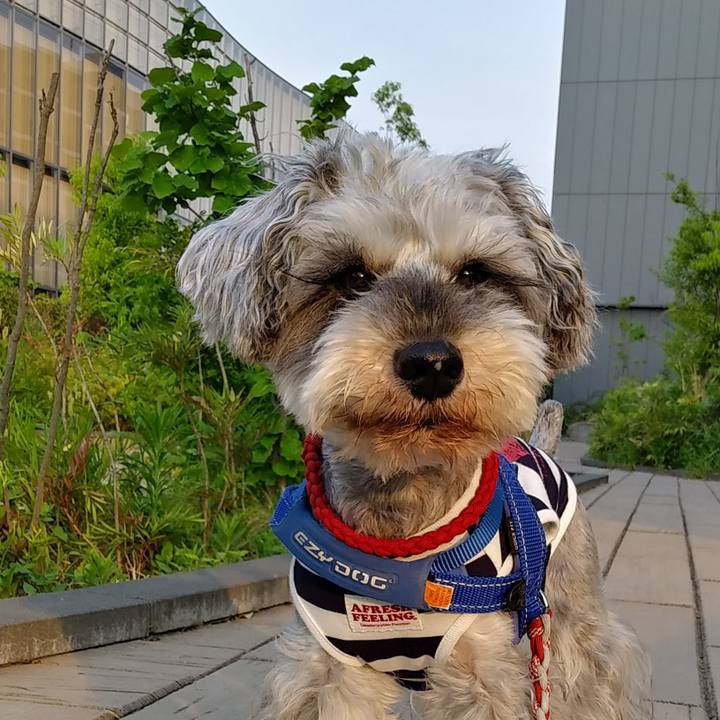 6bf7d43f 5463 4145 9cb5 31eb1d7b8b24 1652998024892