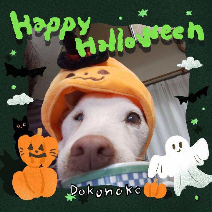 6bf7df71 f568 4de7 a510 0b4fbb12ff54 1729113281939