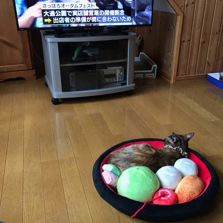 6bf82129 b422 4a94 9dde c3c36505e060 1625604589373